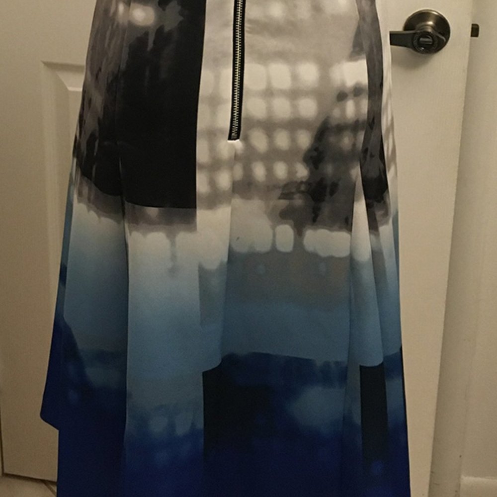 Calvin Klein B&W Blue Dress View 2